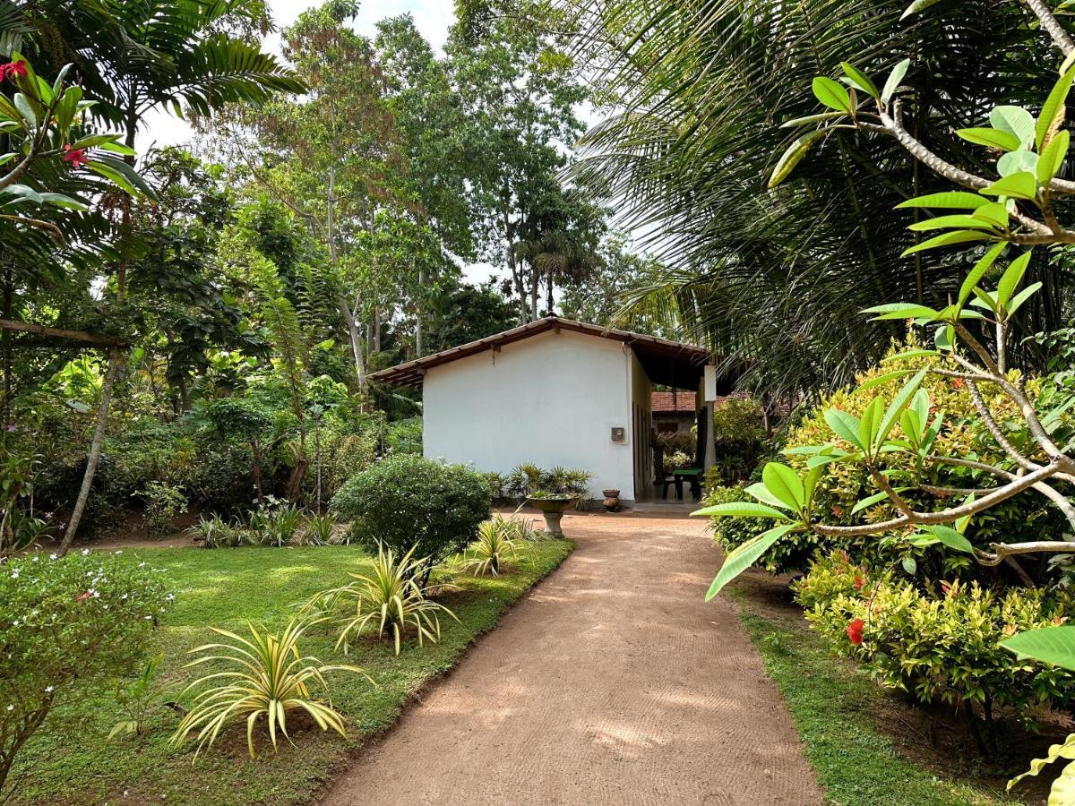 Midigama Inn Ahangama Exterior foto