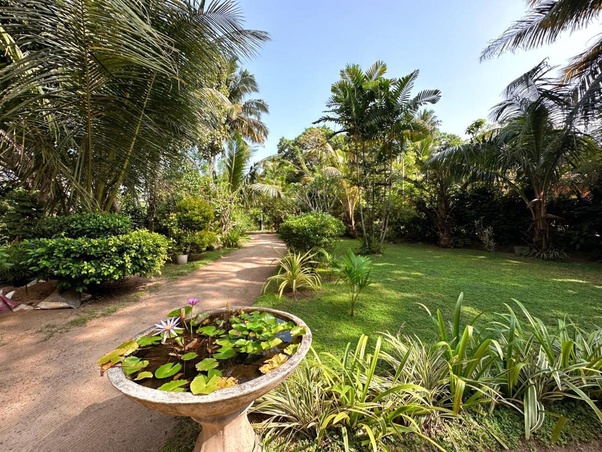 Midigama Inn Ahangama Exterior foto